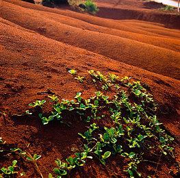 《疯狂动物城2》先导预告片发布 11月26日全球上映